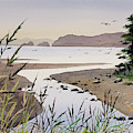 Tidewater Harmony